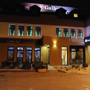 Hotel Gallus